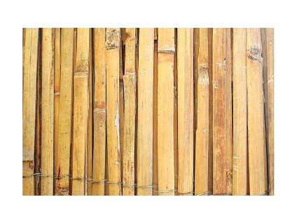 Plot bambus BSF 1000mm, L-5m, štípaný