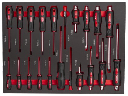 Sada šroubováků v pěnové výplni do dílenského vozíku, 21 ks - AH12399E4