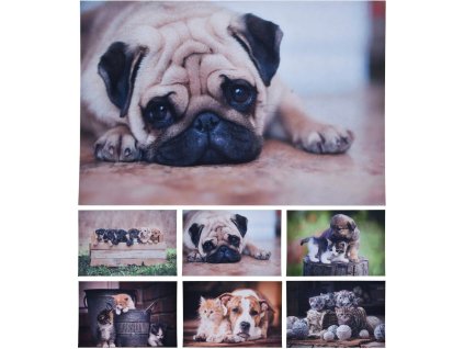 HOMESTYLING Rohožka čistící 58X38cm tři koťata KO-GR1001000kota