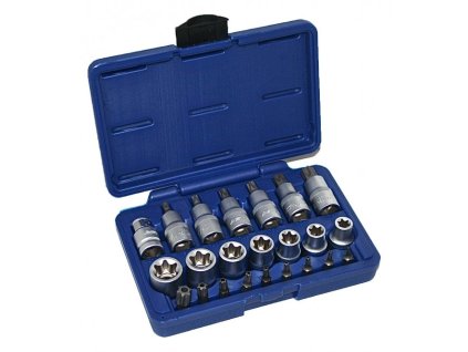 Hlavice TORX 1/2", nástrčné, zástrčné a bity, 23 dílů - ASTA