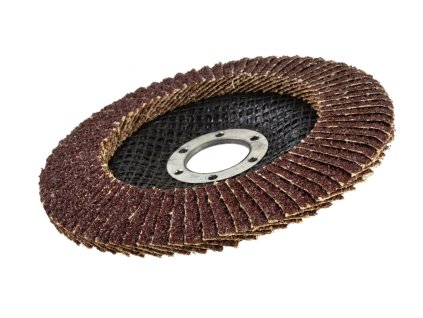 Brusný kotouč lamelový, univerzální 125 x 22,2 mm, P60, 1 ks