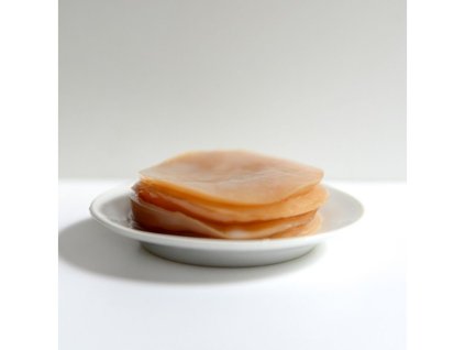 Kombucha - čajová houba