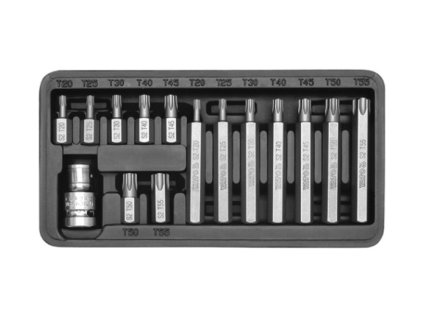 Sada bitů 15 ks TORX box