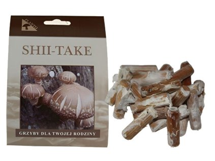 SHII TAKE 20ks - podhoubí na kolících