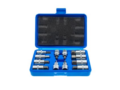 Zástrčné hlavice Imbus 1/2", H5 - H22, 12 ks - SATRA