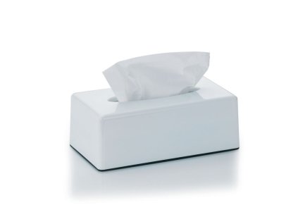 KELA Kosmetický box na kapesníky PANNO plast, bílý KL-22347