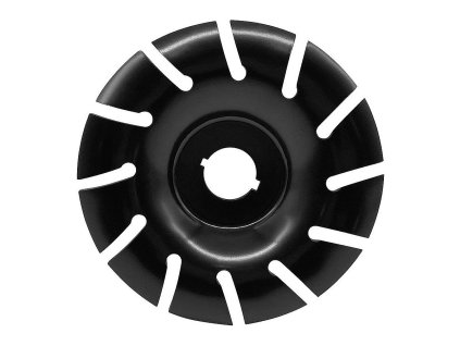 Kotouč rašplový na dřevo 125mm