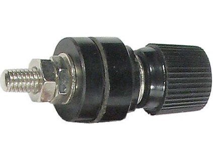 d243a