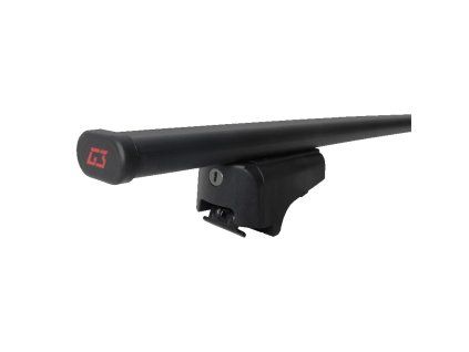 g3