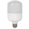 Žárovka LED E27 T100 230V/25W, teplá bílá