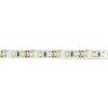 LED pásek 8mm, denní bílá, 120xLED2835/m, IP65, modul 2,5cm