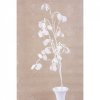 Větvička MoneyPlant.White, bílá, 56/107cm