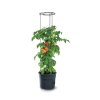Květináč na pěstování rajčat TOMATO GROWER antracit 39,2cm