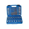 Zástrčné hlavice TORX 1/2", standardní, prodloužené a extra dlouhé, T20-T70, 32 ks - SATRA