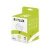 LED žárovka Big Globe 20W E27 G120 WW RLL 467 RETLUX