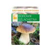 Hřib smrkový ( Boletus edulis ) mykorhyzní mycelium