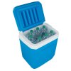 CAMPINGAZ Chladící box ICETIME PLUS 30L 2000024963
