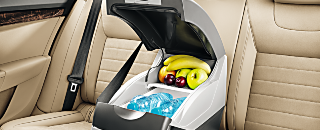 Podle čeho si vyberete nejlepší autochladničku?