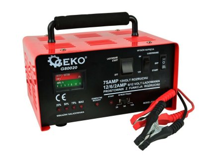 G80020