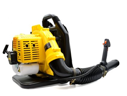 G84011