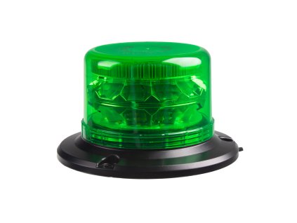 wl813green