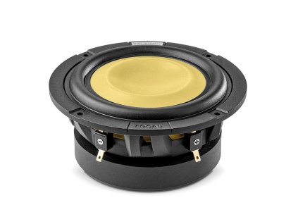 FOCAL CAR SUB 5 KM