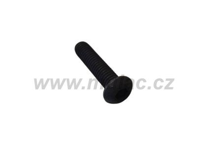o67a9e492e1a1e 10226 1108301996