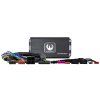 Phoenix Gold ZXMP MB2