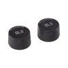 tpms6 2