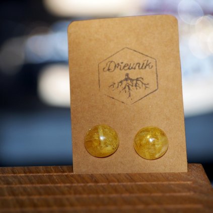 Náušnice s narciskami Dřevník