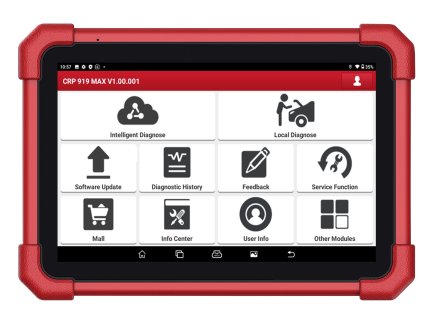 54051955433 e976b25179 k