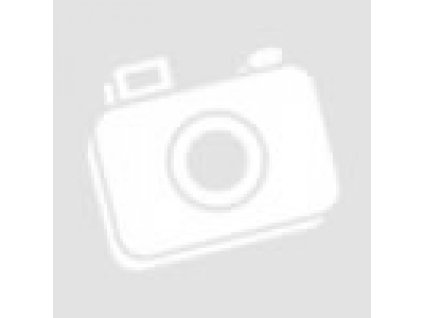 EBS jednokanálový modul MERCEDES