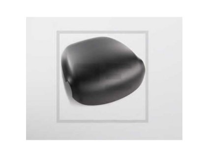 kryt zrkadla Daf malý,11.5710.110