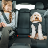 Postroj pre psa Thule Cappy S