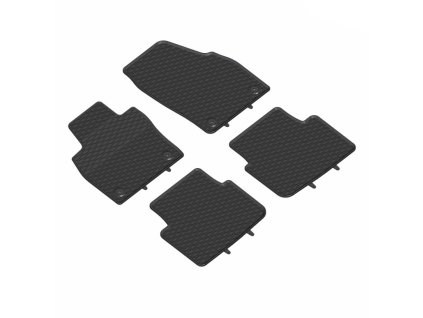 Autorohože GEYER - Škoda SCALA 2019-