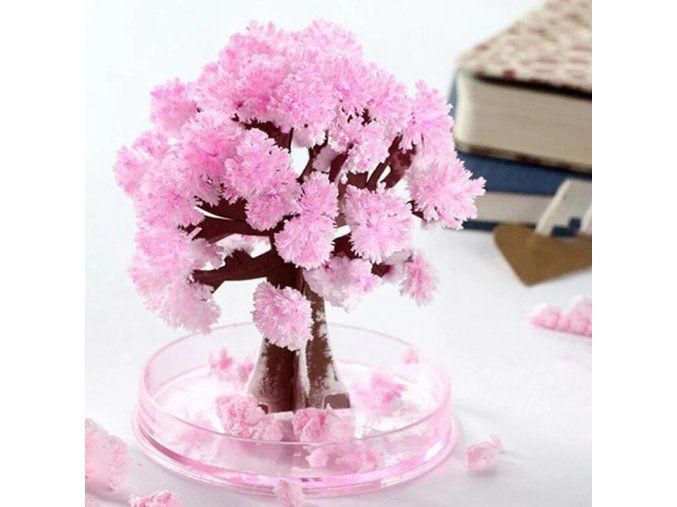 Kouzelný strom Sakura