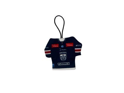 AV19 blue car jersey