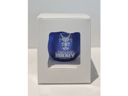 Chirstmas ornament