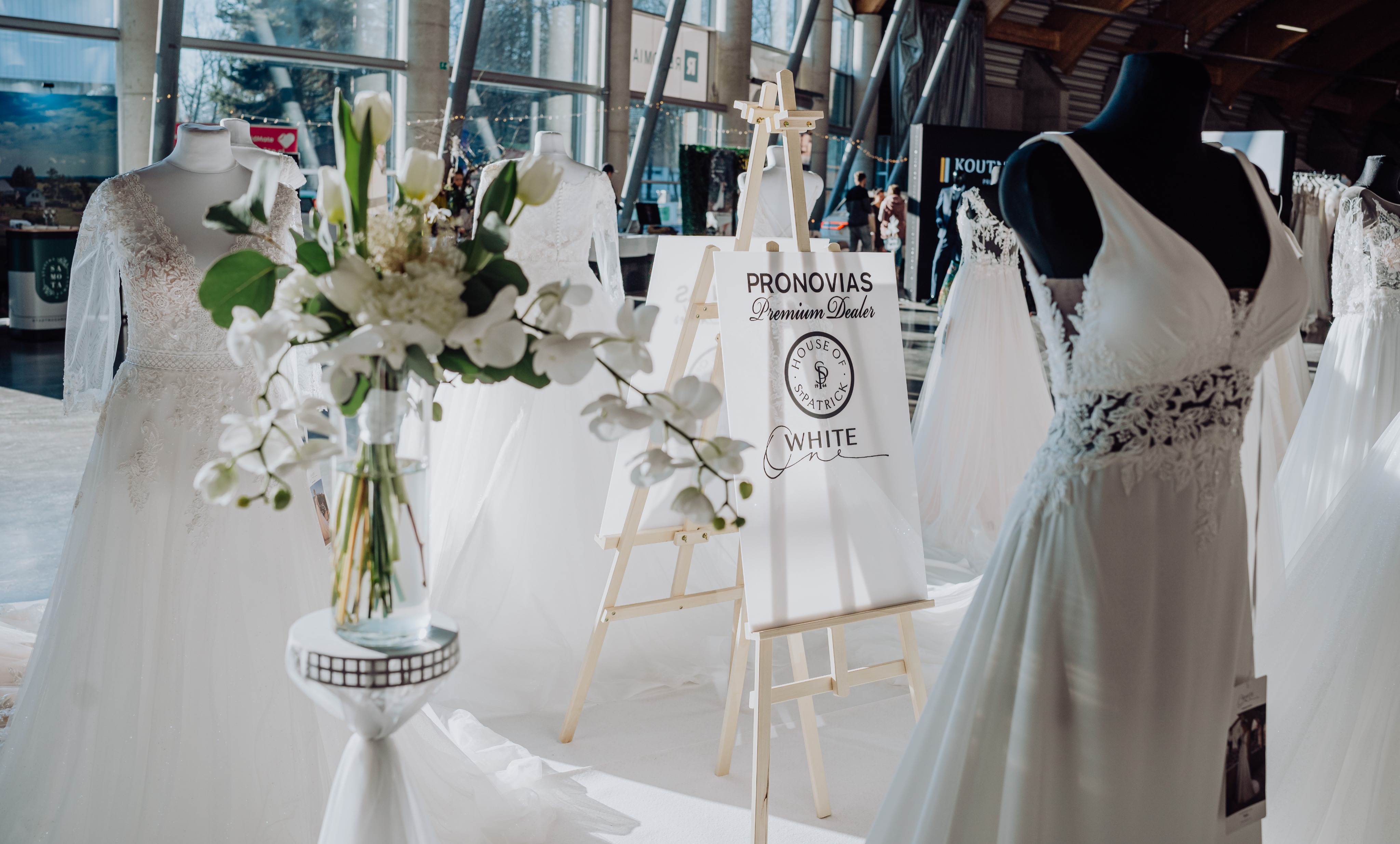 svatby-avalon-pronovias-saty