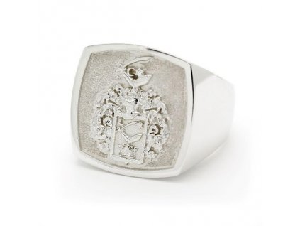 Pánsky prsteň Grey