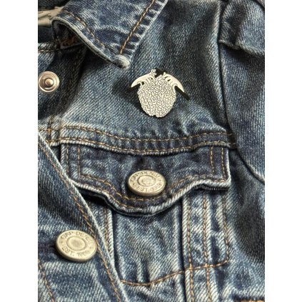 mozek pin