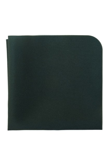 Kapesníček do saka LUX, 583-9860, Zelená