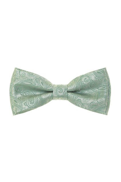 Motýlek s kapesníčkem, 575-22609, Zelená/šalvějová