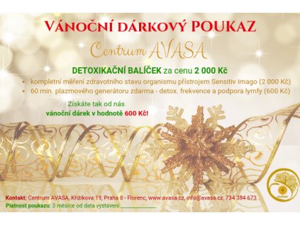 Vánoční dárkový poukaz Centra Avasa