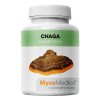 chaga.1561093504