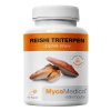 MycoMedica Reishi Triterpen 90 kapsli