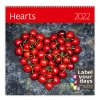 Rodinný plánovací kalendář Hearts