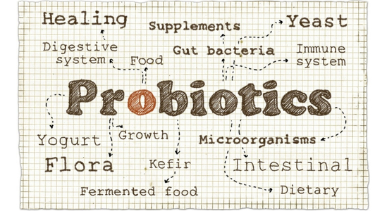 Prečo potrebujeme probiotiká