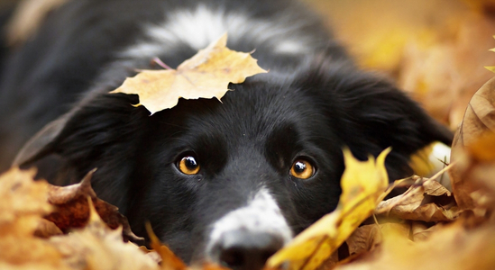 Ilustračná fotografia