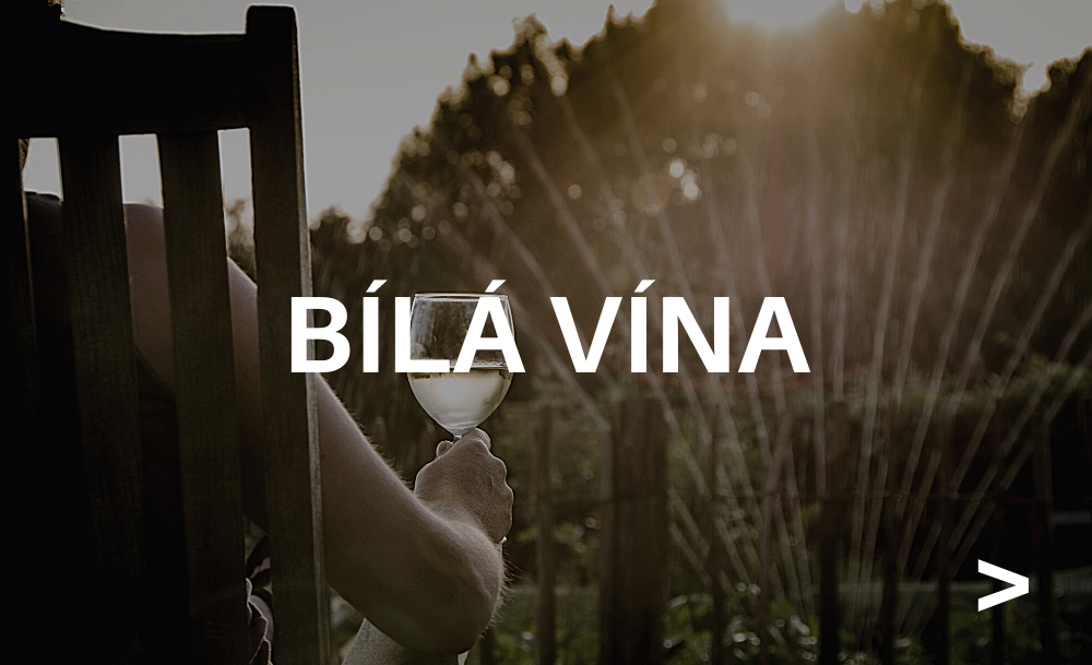 Bílá vína